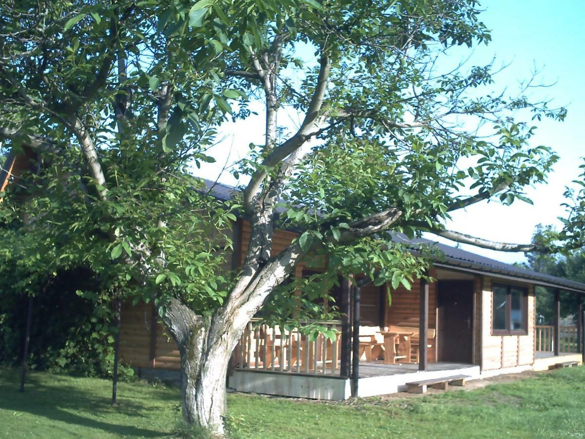 Villa Pod Orzechem Sanok Exterior foto